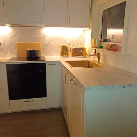 Sunny Terrace House Only 50 Min From Oslo Apartment Skjelfoss